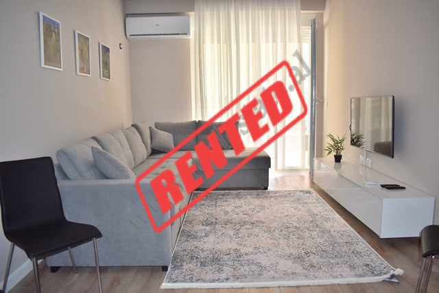 Apartament 1+1 me qira te kompleksi Kika, ne rrugen Tish Dahia ne Tirane.
Ndodhet ne katin e dyte t